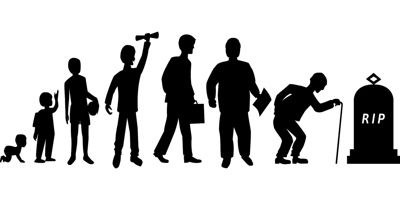 ہماری زندگی